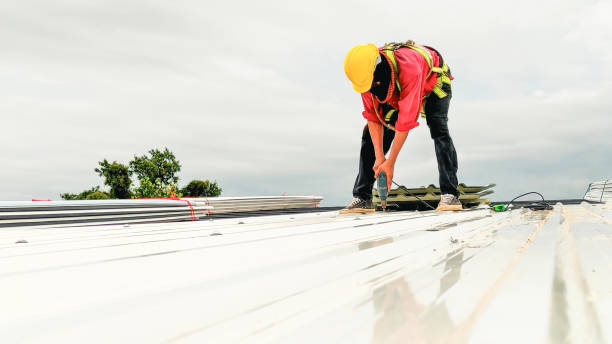 Best Skylight Installation and Repair  in New Franklin, OH