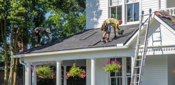 Best Roof Moss and Algae Removal  in New Franklin, OH